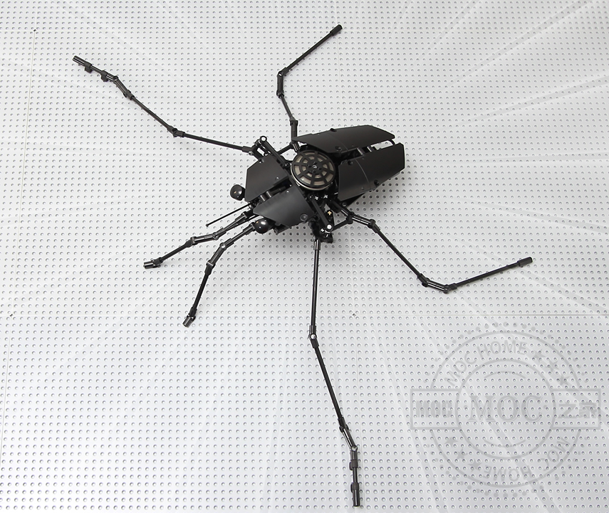 MOC-Water spider 水蜘蛛